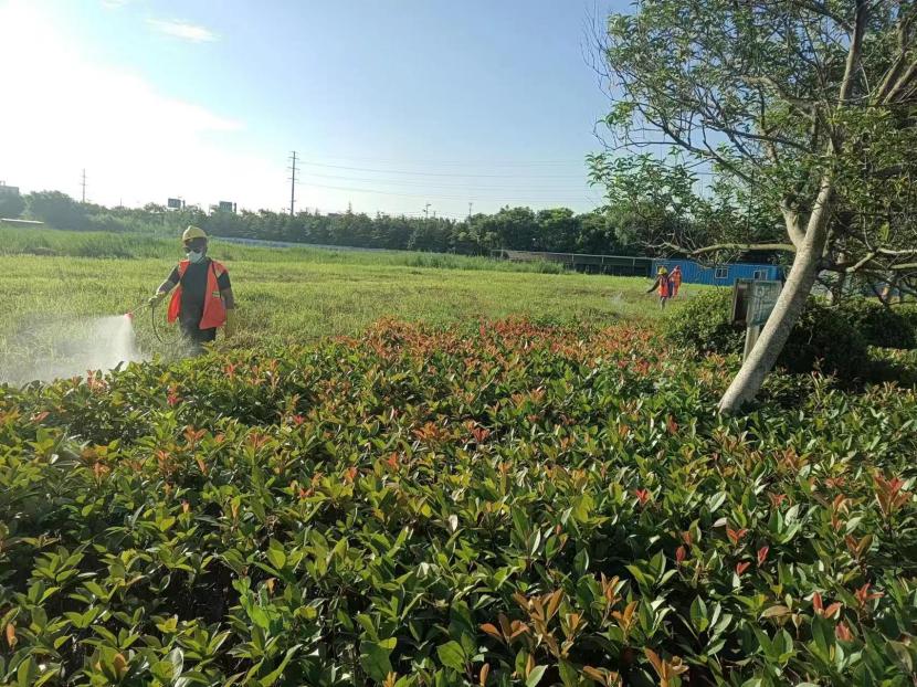 1722417879480 病虫害防治(04)